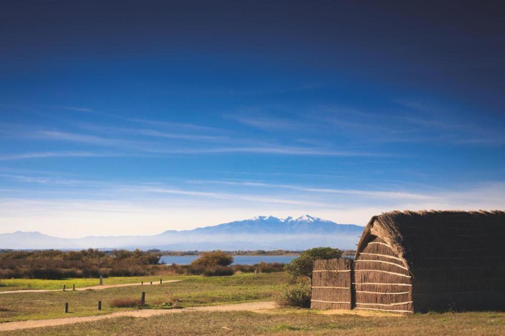 Hotel La Fregate Canet-en-Roussillon Dış mekan fotoğraf